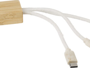 Bamboo USB charger