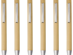 Bamboo and plastic ballpen