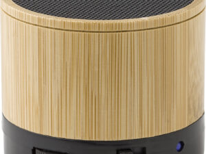 Bamboo wireless speaker