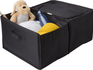 Car organizer with cooler compartment