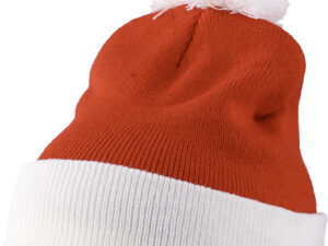 Christmas beanie