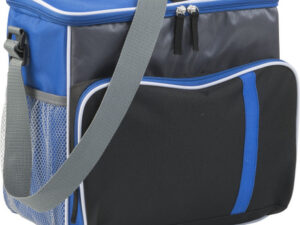 Cooler bag