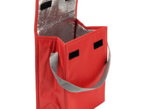 Cooler bag