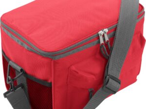 Cooler bag