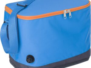 Cooler bag