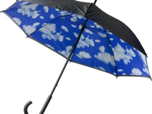 Double canopy umbrella