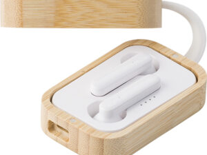 Earbuds