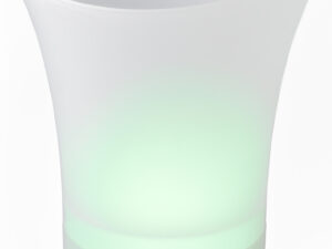 Ice bucket with speaker