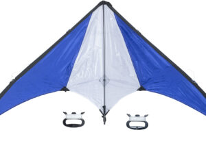 Kite