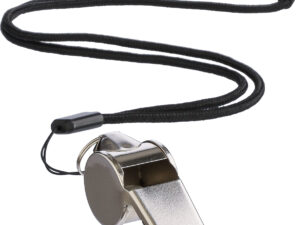 Metal whistle
