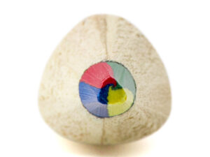 Multi coloured lead pencil - Image 4