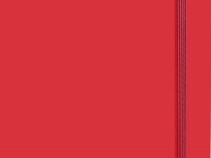 Notebook with blank pages (approx. A5)