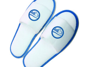 Pair of slippers