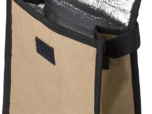 Paper cooler bag
