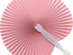 Paper hand held fan