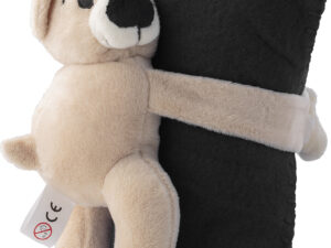 Plush Bear with fleece blanket