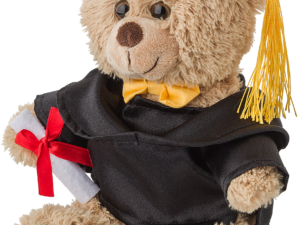Plush graduation bear - Image 3