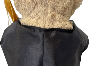 Plush graduation bear - Image 4