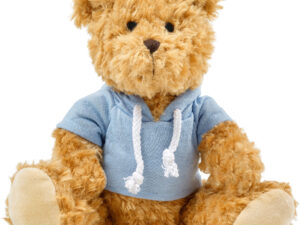 Plush teddy bear with hoodie