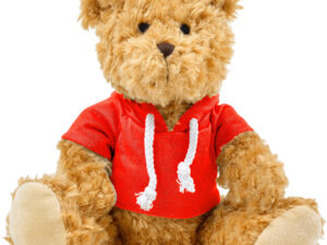 Plush teddy bear with hoodie - Image 5