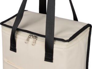 Recycled cooler bag