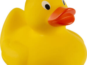 Rubber duck