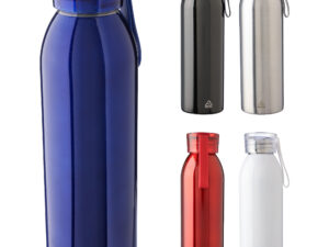 Stainless steel single-walled bottle (650ml)