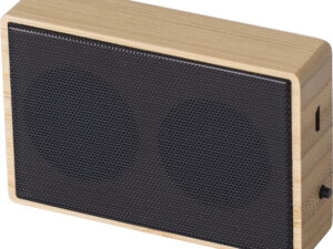 Wireless speaker